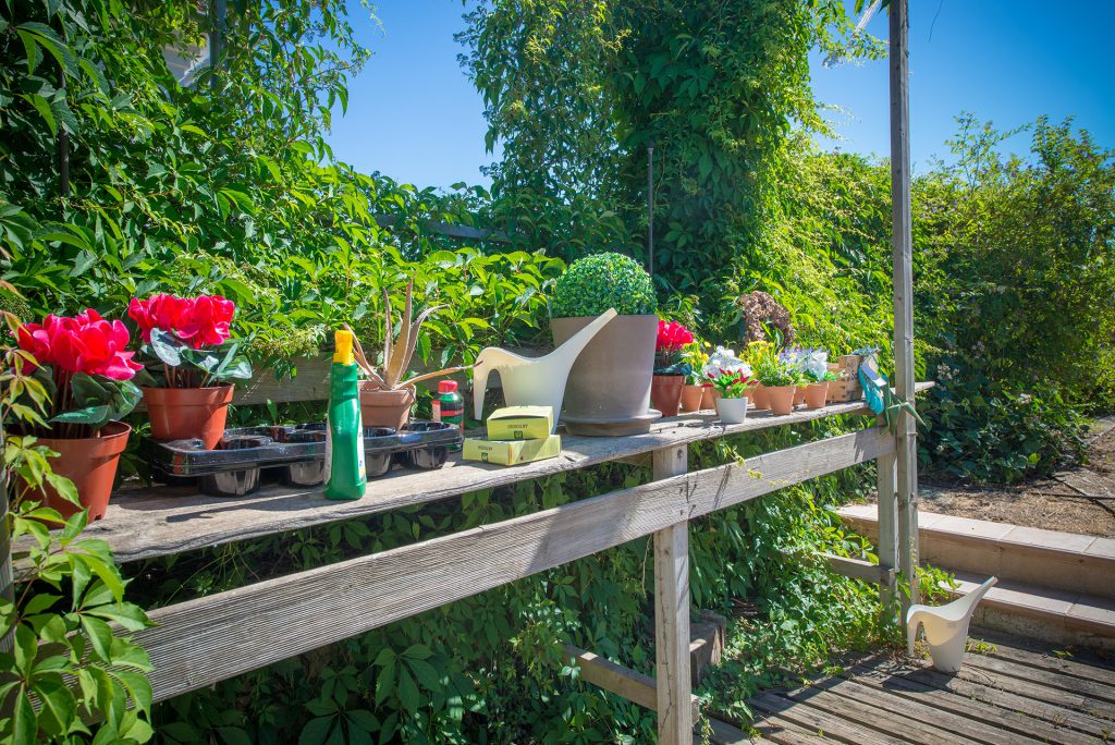 garden